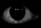 Creepy Eyes